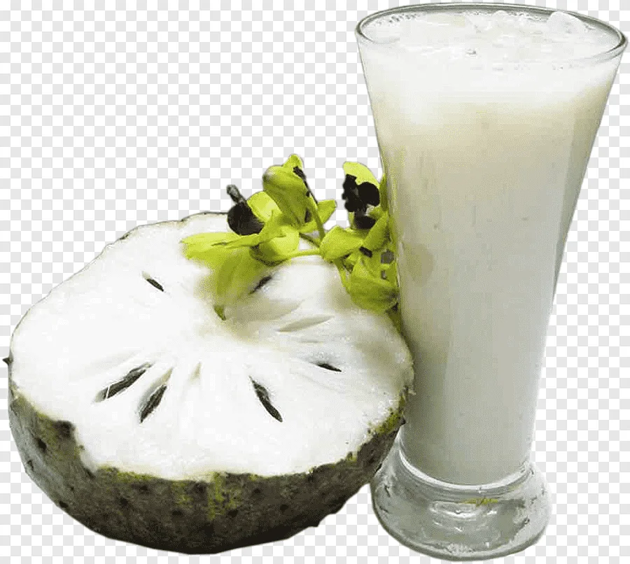 500ml Soursop Juice not From Concentrate Natural Juice Good Price OEM Service 100% Purity Delicious Best Brand From Vietnam