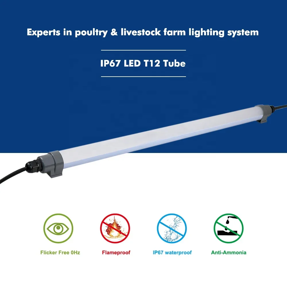 T12 Ammonia Resistant Led Pig Farm Lights ip69k Waterproof 120lmw for swine house