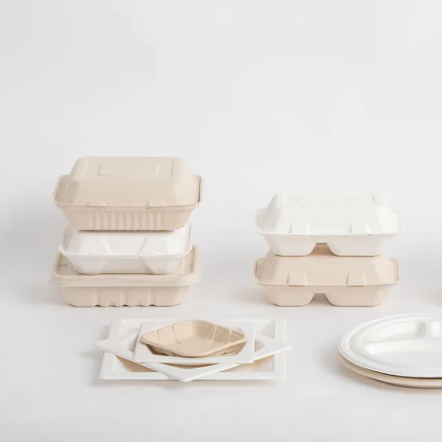 
Eco Friendly 100% Biodegradable Plate/Tray/Bowl/Clamshell container Disposable tableware 