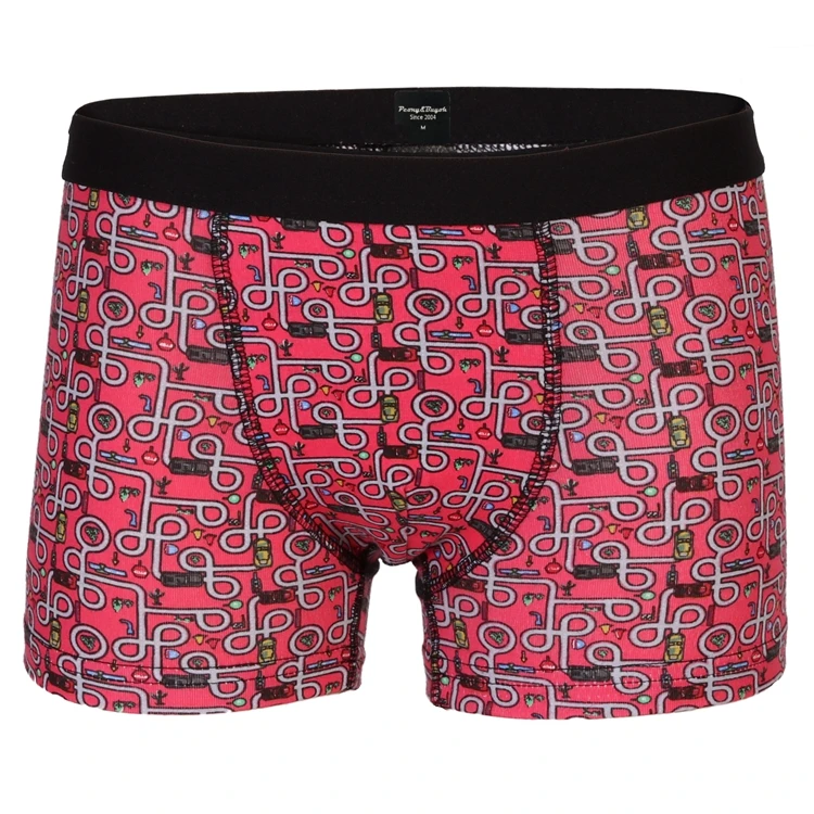 
Eco-friendly Printing Breathable Organic Cotton Boxer Boys Briefs Underwear 