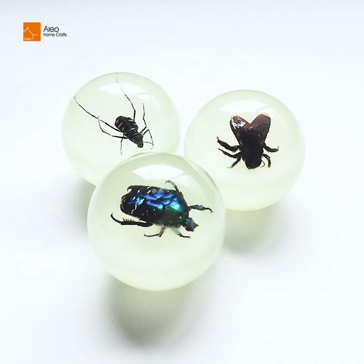 ALEO Custom Physical Insect Specimens Resin Crafts Embedded in Flowers and Plants for Gift Decorations