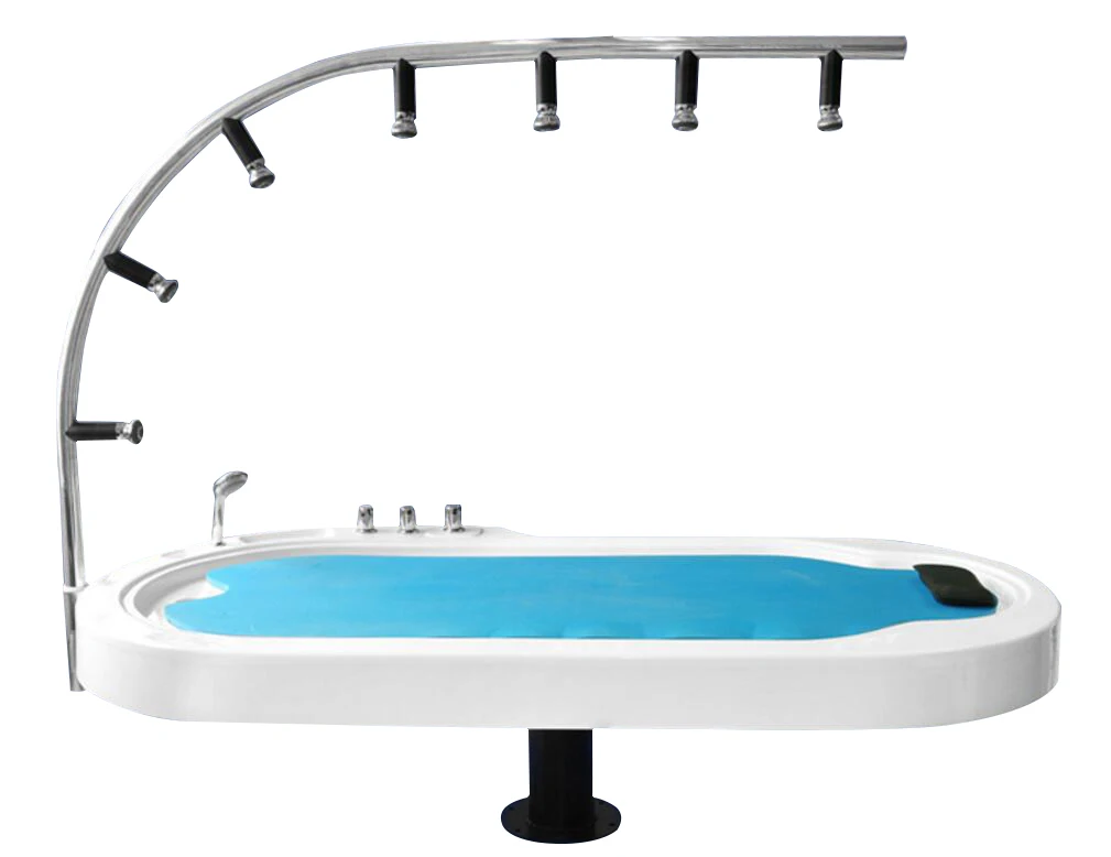 wholesale hydratherapy Jet spa equipment vichi shower massage bed