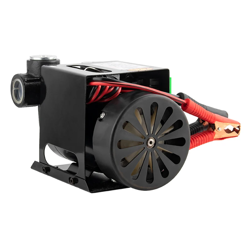 Zheming DC 24 Volt Electromagnetic Electric Portable Diesel Fuel Transfer Car Oil Change Pump
