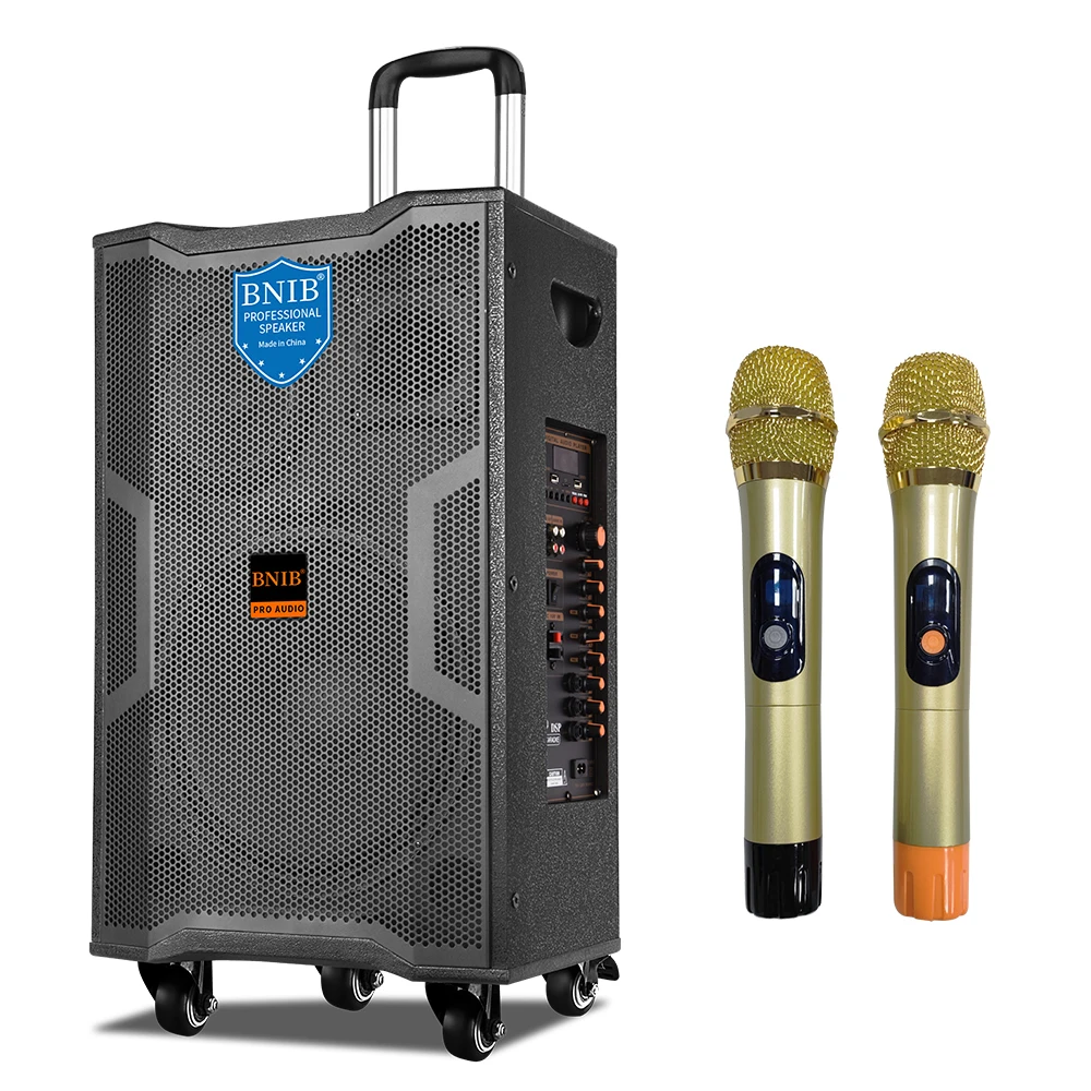 High End China Factory Sound Speakers Outdoor 15 inch Blue-tooth Speaker System OEM Trolley Boombox Battery Speaker With MIC