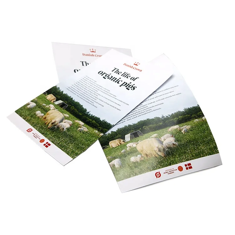 Wholesale Color Design Folded Perforated Leaflets Custom Catalogue And Brochure
