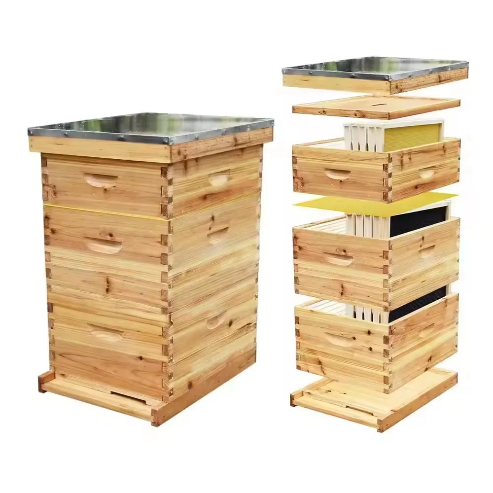 10-Frame 4 Layers Bee Hive Complete Beehive Kit Beeswax Coated Beehive Include Frames and Foundation Sheets