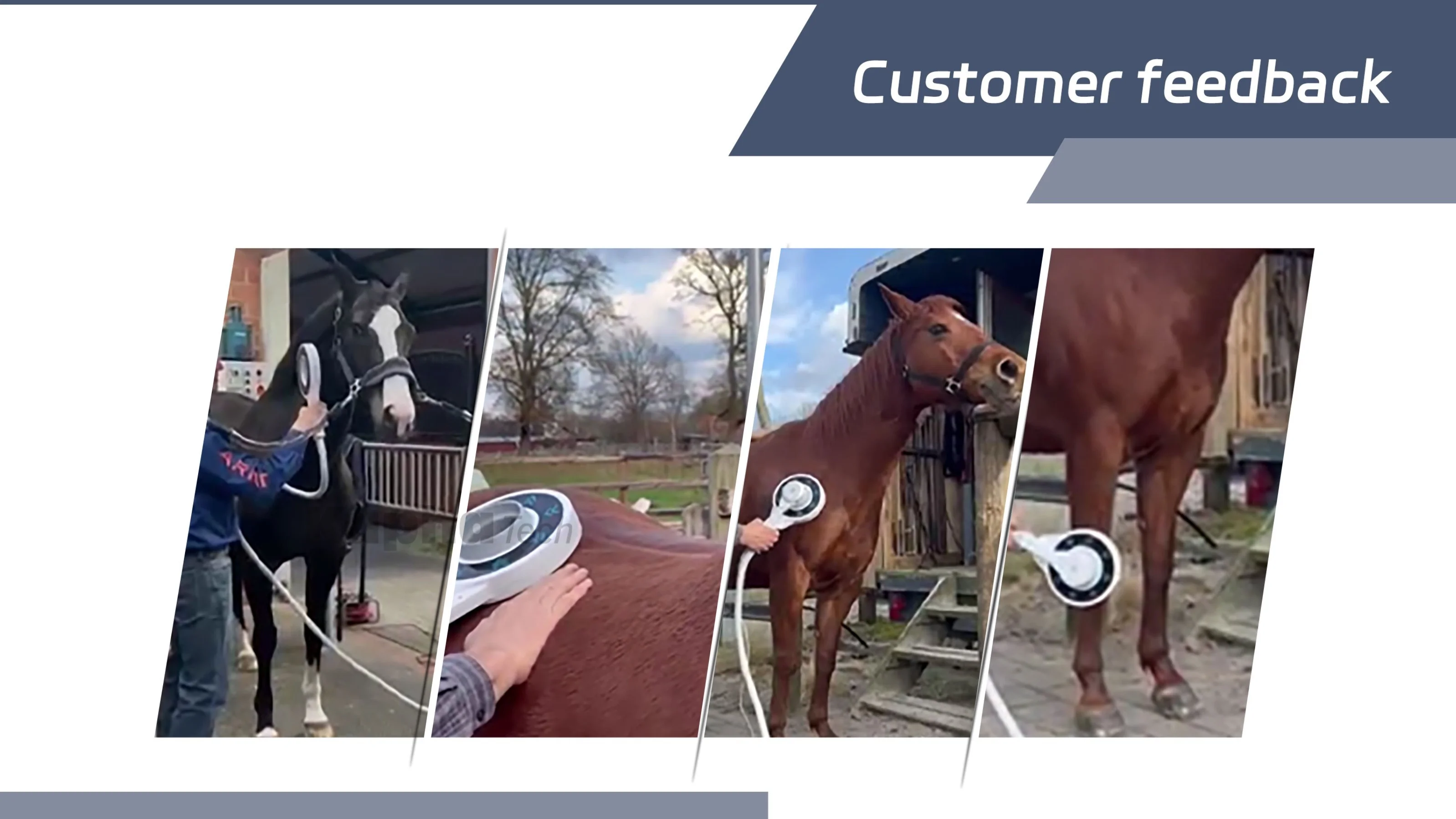 Best Physio Magneto Plus Nirs  Pemf Magnetic Therapy Device Horse Infrared Light Therapy Magnetic Physical Therapy