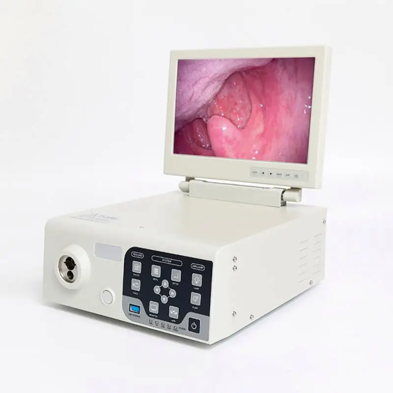 High Quality Portable Veterinary Endoscope Gastrointestinal Endoscopy Camera for Pet Clinics and Animal Hospitals