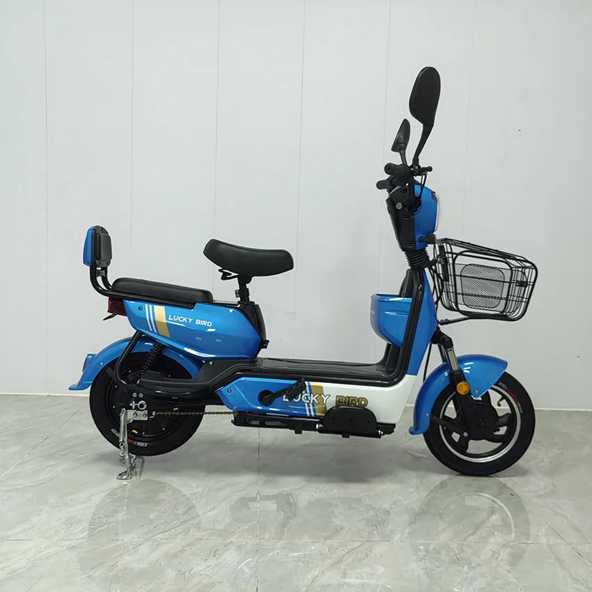 Factory hot sale with rear trunk can put things in the electric bike blue bike can be two adult electric bike