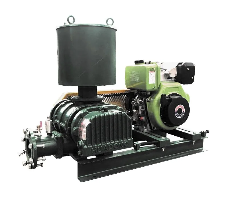 HDSR-V роторный насос,Бустерный насос РУТСА