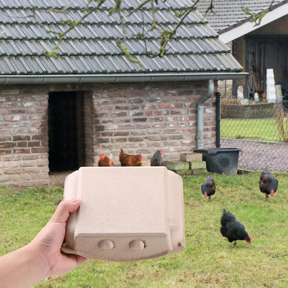 Paper Pack Egg Tray Box Paper Boxes For Egg Wholesale Custom Cardboard Egg Cartons 3x4