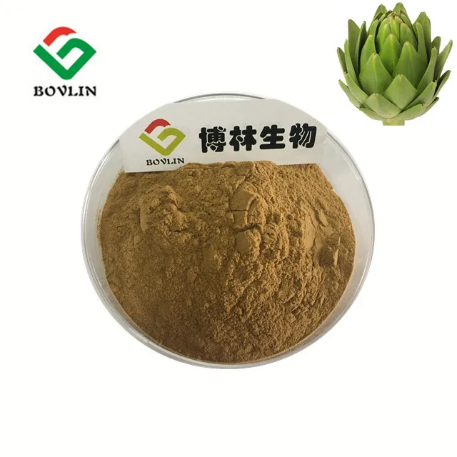 
Wholesale Artichoke extract Natural organic Artichoke Leaf Extract 10:1 Cynara Scolymus Chlorogenic Acid 5% 