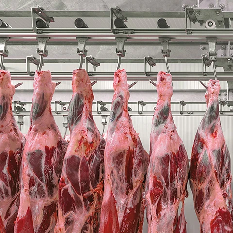 
Установка для очистки сточных вод для бойника 