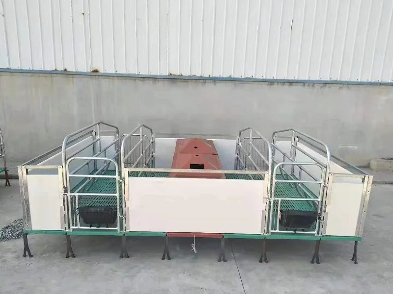 Equipment for Animal Husbandry and Pig Breeding Hot Dip Galvanized Pipe Pig Double Sow Farrowing Bed for Sale