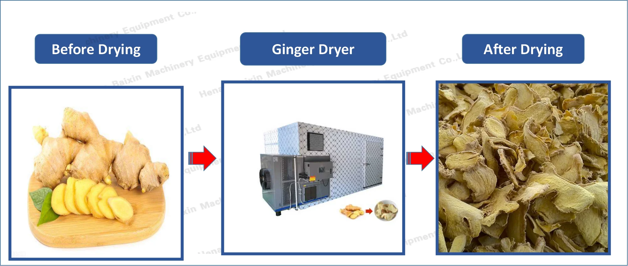 ginger dryer 2.png