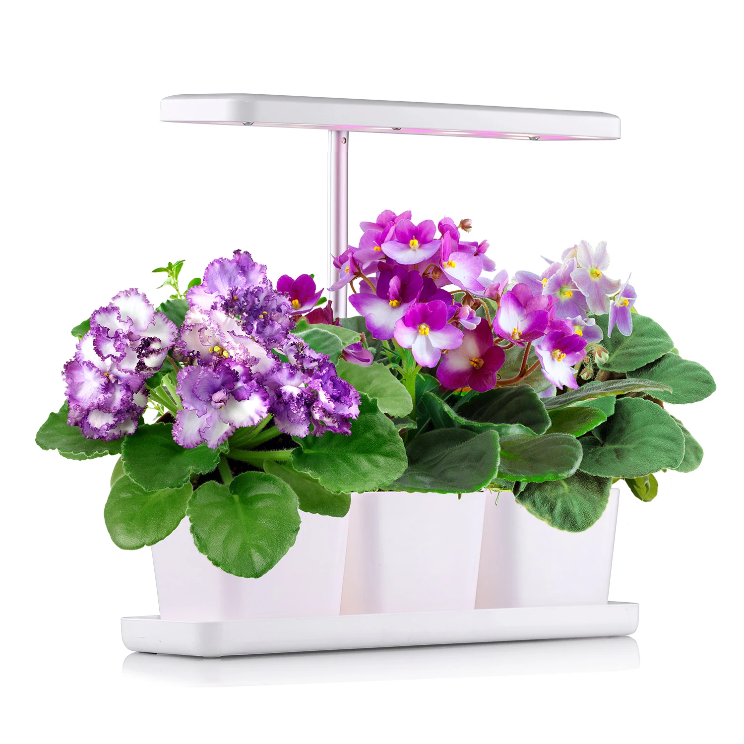 J&C Mini Garden White USB 10W Indoor Garden with Led Grow Light  Full Spectrum Plant Light For Indoor Plants Direct Selling