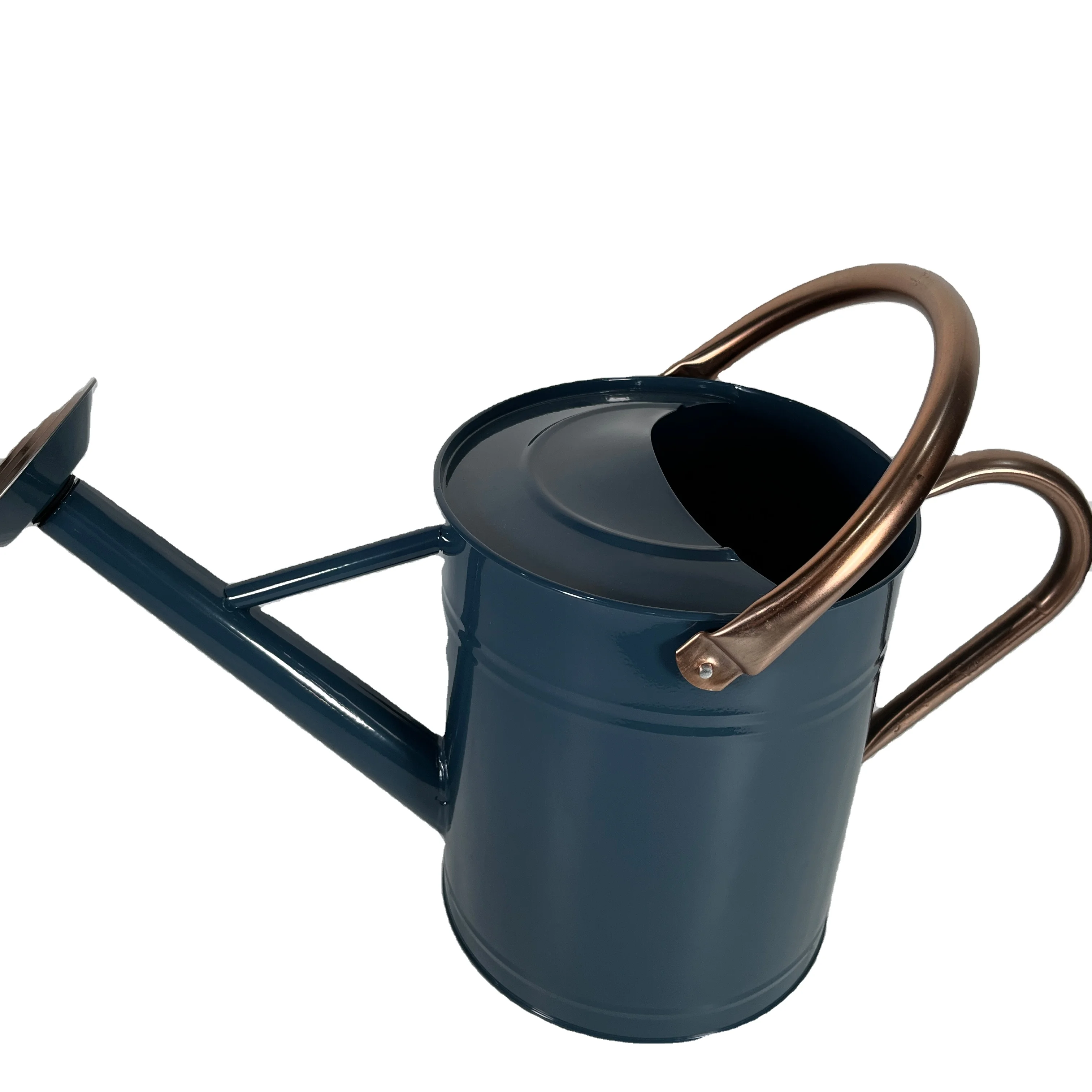 1 Gallon Metal Watering Can With Copper Handle