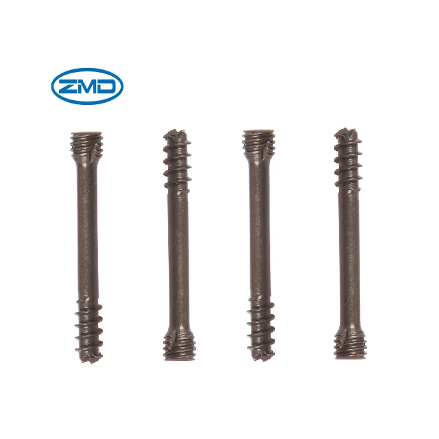 Orthopedic implant herbert screw hollow screw