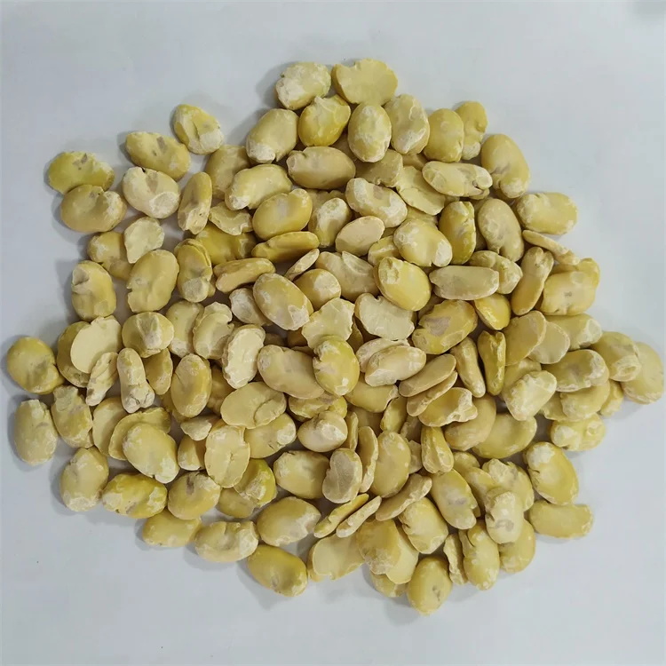 
High Quality Peeled Split Broad Beans Fava Beans Peeled By Machine 