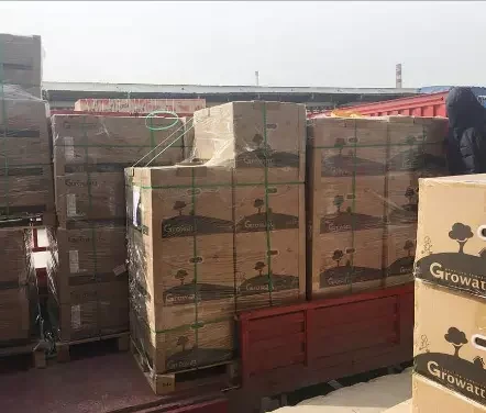 Growatt Solar Inverter SPF 4000-12000TL HVM Series 50HZ/60HZ Solar Power Inverter