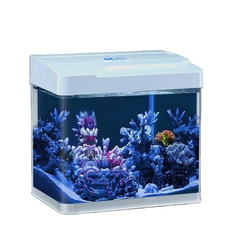 Desktop Decor Ecological Small Aquarium Glass LED Light Fish Tank Glass Betta Fish Tank