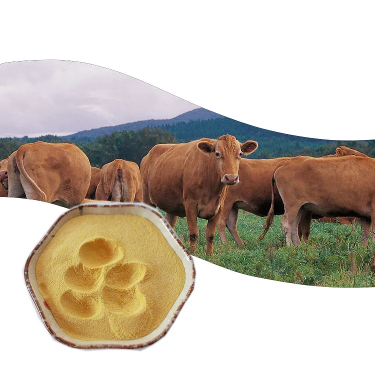 Particle Type Animals Feed Enzyme Reduce Ammonia Concentration Glucose Oxidase Powder