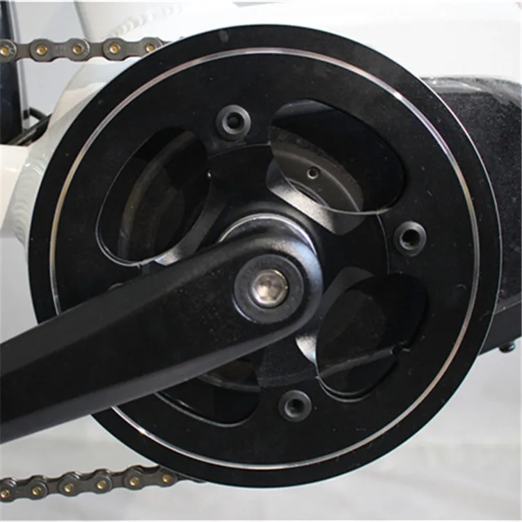 bicycle electric adult