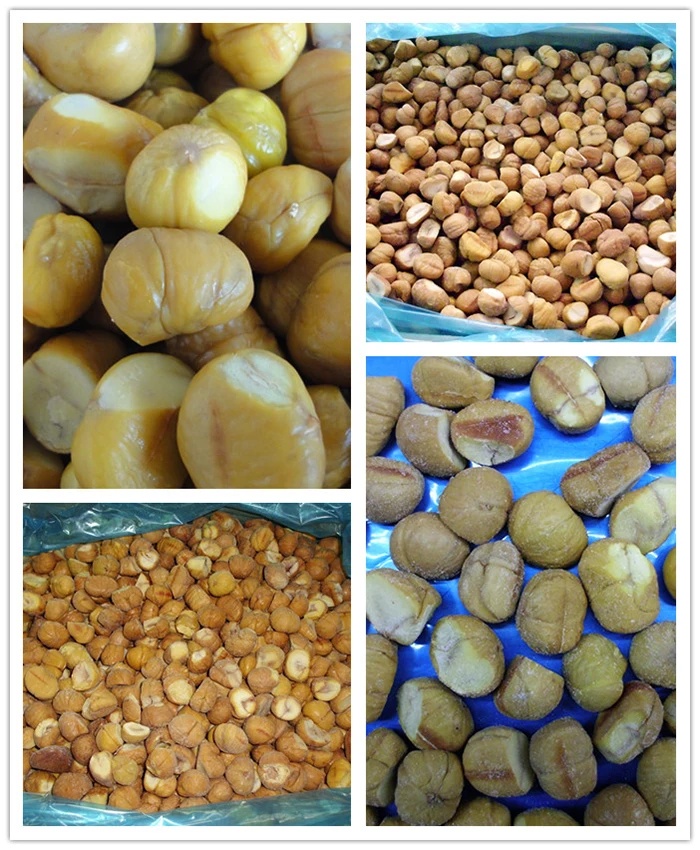 frozen broken chestnut_