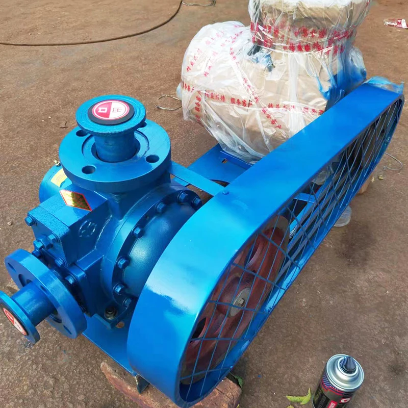 Liquid Ammonia freon Transfer Pump Liquefied Petroleum Gas Pump YQB35-5