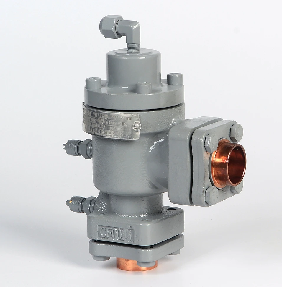 
Constant Pressure Valve Customized valve with Normal Temperature 