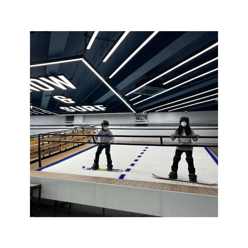 SNOW MONKEY indoor ski machine fashion hot sale Indoor Dry Ski Slope Ski Simulator