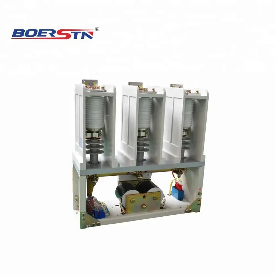 6KV-12KV 160A- 800A Three Phase High Voltage Vacuum Contactor AC Contactor 3 Rh 1921 Contactor De 30 Amp 25 63a Dc