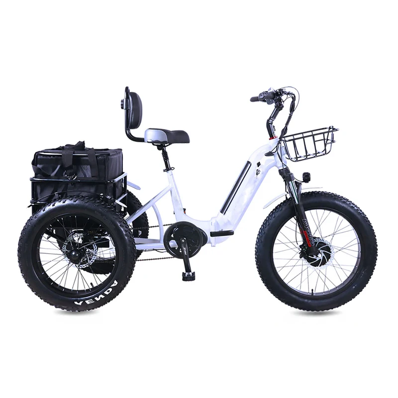 Adult 2 person 3 wheel tricycle with saddle backrest 750w 1000w hub motor 24&20 inch 4.0 fat tire cargo bike with rear basket