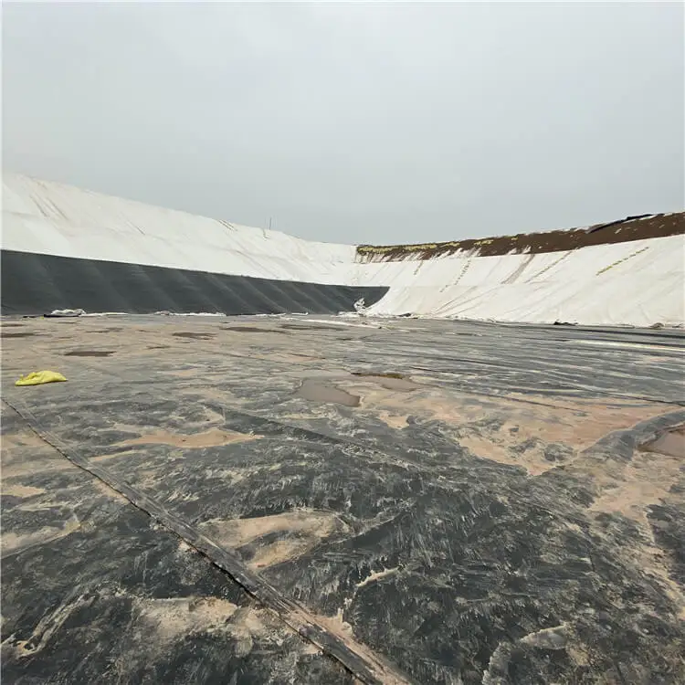 Hdpe Geomembrane for Mining Plastic Sheet Membrane for Mining Industry