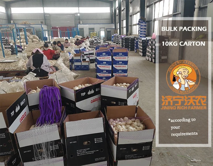 2023 New Crop China Garlic Price in Low 4.5cm-6.5cm/package Carton/bag for Import/Export