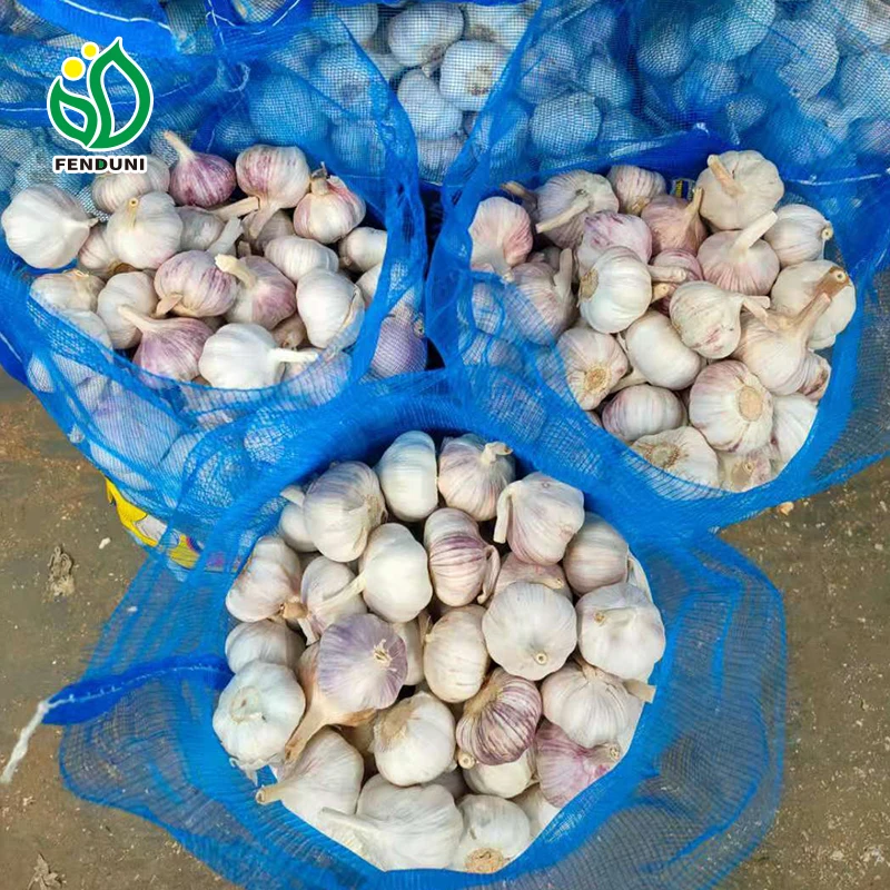 2024 New Crop Grade 1 Normal White/Pure White Garlic with Mesh Bag Fresh Garlic From China Factory Direct Supplier
