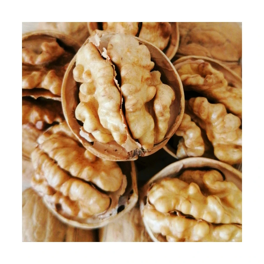 Hot selling cheap custom fresh china walnut in shell