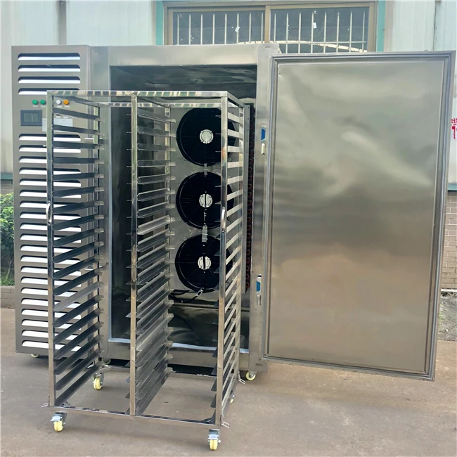 Meat Processing Blast Freezer - Industrial Strength & Rapid Cooling Cryogenic Freezer, Perfect for Delicate Foods.