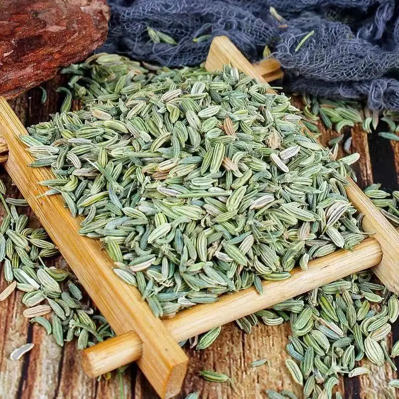 ZZH Top Grade Organic Fennel Seeds Wholesale Price 100% Natural Dehydrated Fennel Seeds Manufacturer