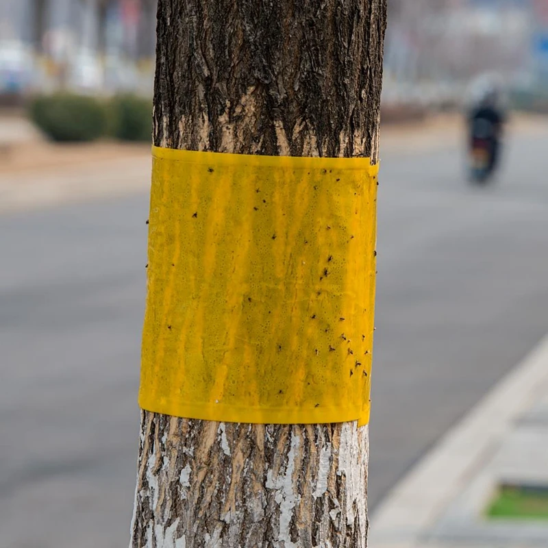 GREEN HOUSE PEST CONTROL YELLOW GLUE TRAP FILM ROLL