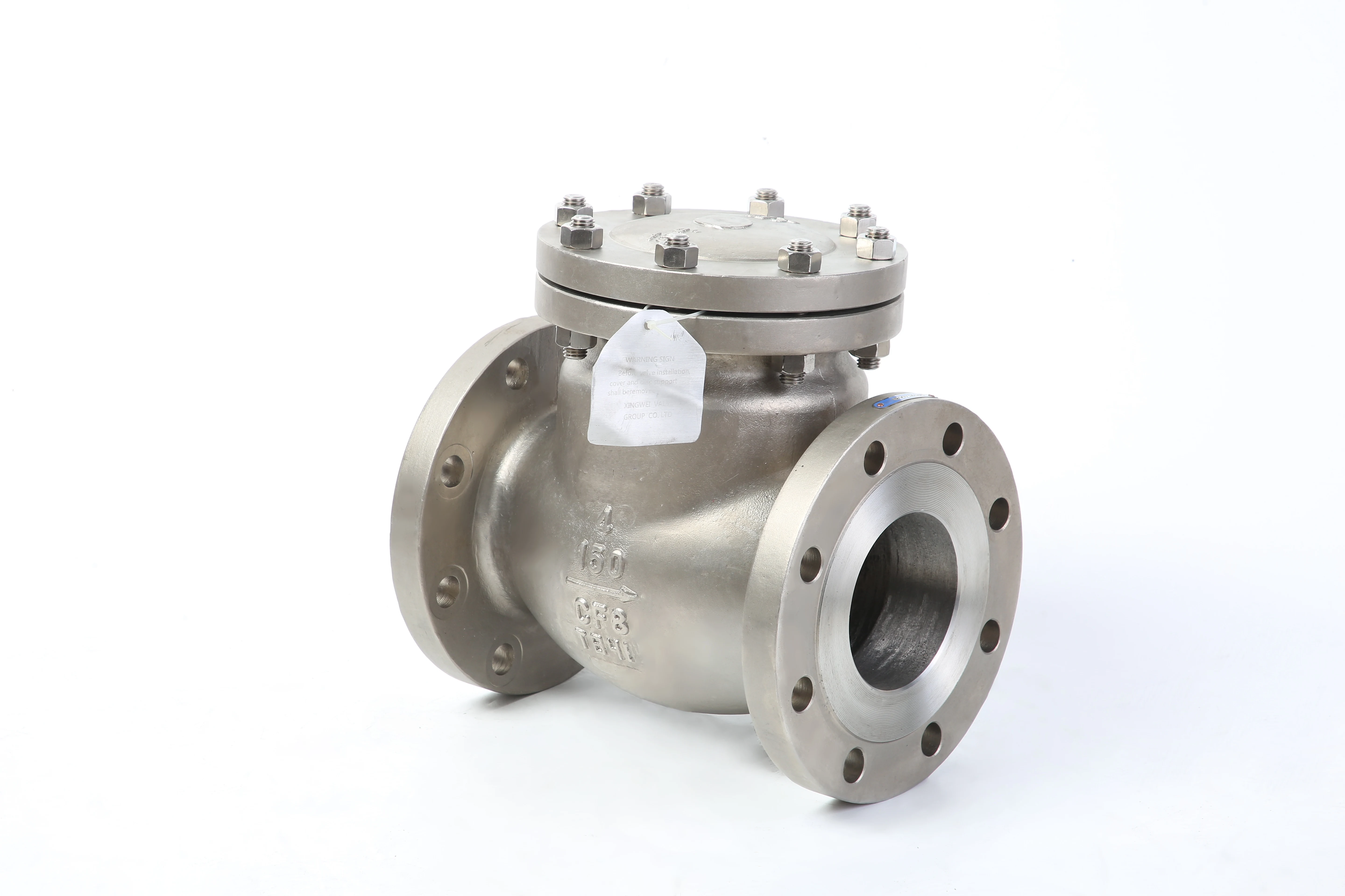stainless steel 304 vertical check valve flange bolted bonnet