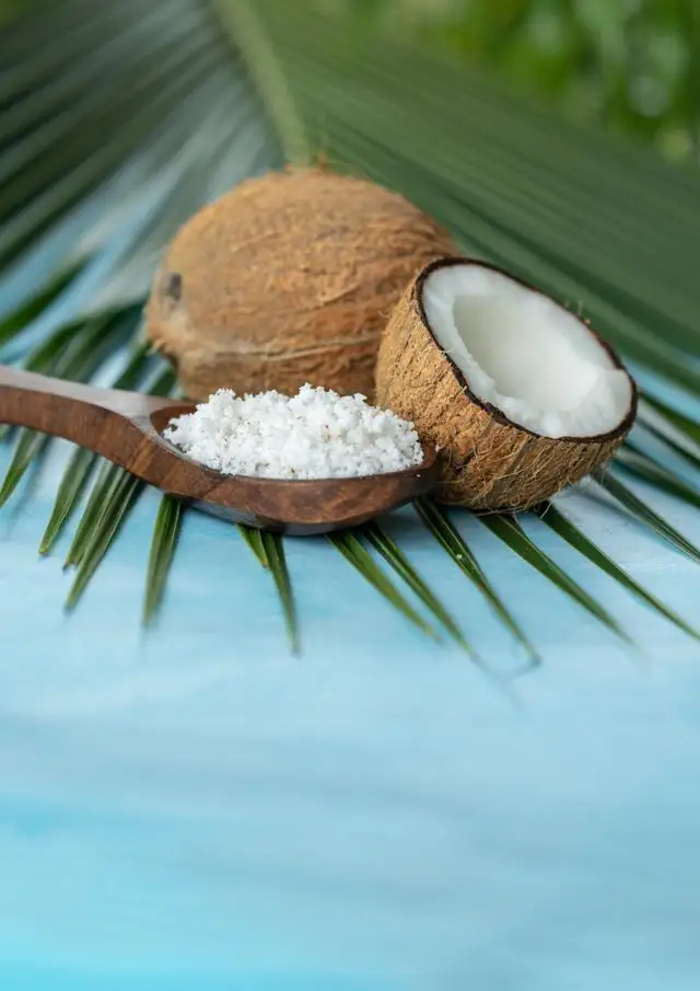 Organic Coconut Milk Powder Coconut Protein Powder Wholesale Pure Coconut Powder Without Sodium Caseinate