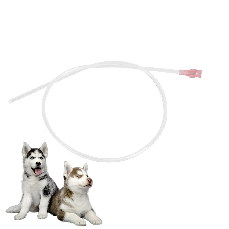 Cheap Price Canine Veterinary Artificial Insemination Dog Urinary Catheter