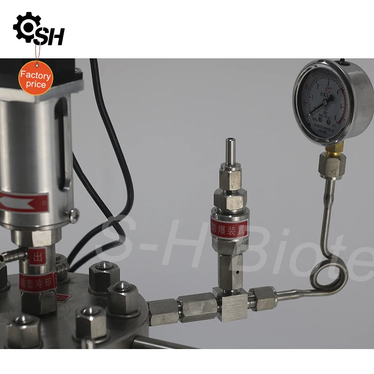 100ml Stainless Steel Magnetic Stirred High Pressure Chemical Reactor