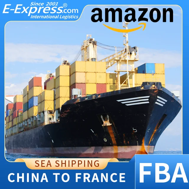 Excellent Ocean Shipping FBA Service From China To France Amazon By DDP With Good Price