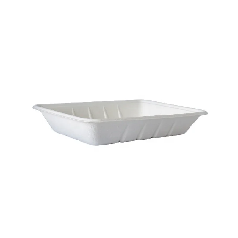 PFAS Free Disposable Sugarcane  rectangle  plant Sugarcane Bagasse Tableware Vegetable Fruit Meat Packaging Plate Tray T4