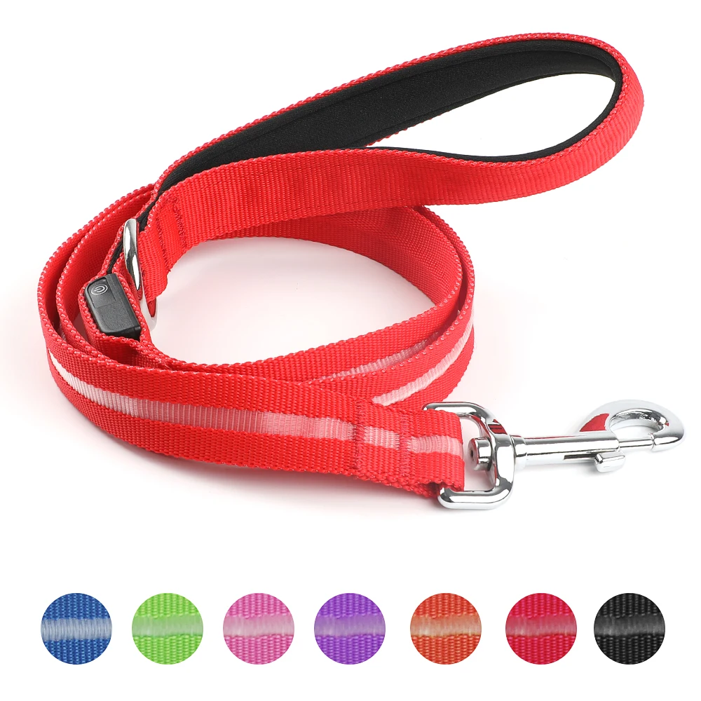 Pet Dog Night Walking Glow In The Dark Rope Leash Recharge Light Up Puppy Correa de perro Bright Flat LED Flashing Pet Leash