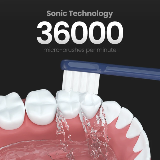 2023 Wholesale Adult Electric Tooth Brush Ultrasonic Automatic Electronic Smart Sonic Electric Toothbrush