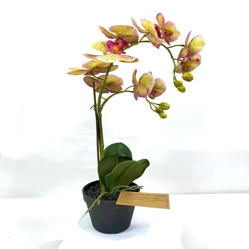 Artificial Real Touch Orchids Flowers Latex Phalaenopsis Stems For Wedding Centerpieces Living Room Home Decoration
