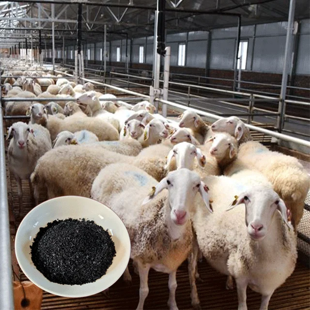 Feed Grade Antibiotic animal feed additive cattle feed super sodium humat for animal healthy & growth